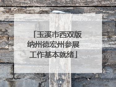 玉溪市西双版纳州德宏州参展工作基本就绪