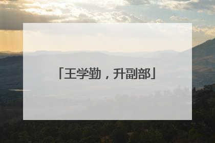 王学勤，升副部
