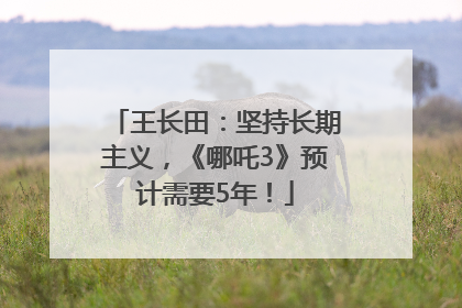 王长田：坚持长期主义，《哪吒3》预计需要5年！