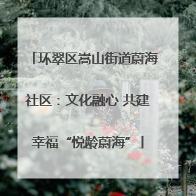 环翠区嵩山街道蔚海社区：文化融心 共建幸福“悦龄蔚海”