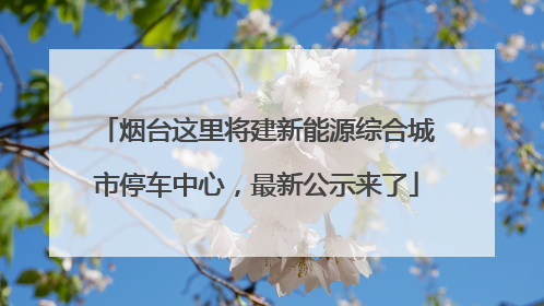 烟台这里将建新能源综合城市停车中心，最新公示来了