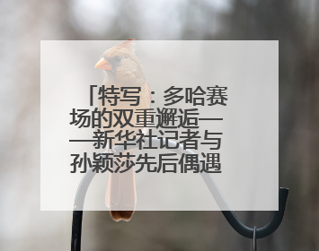 特写：多哈赛场的双重邂逅——新华社记者与孙颖莎先后偶遇巴赫