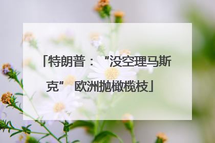 特朗普：“没空理马斯克” 欧洲抛橄榄枝
