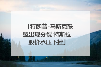 特朗普-马斯克联盟出现分裂 特斯拉股价承压下挫
