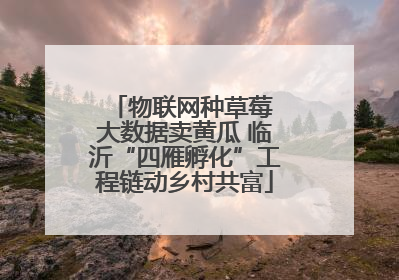 物联网种草莓 大数据卖黄瓜 临沂“四雁孵化”工程链动乡村共富