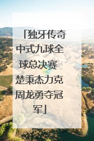 独牙传奇中式九球全球总决赛 楚秉杰力克周龙勇夺冠军