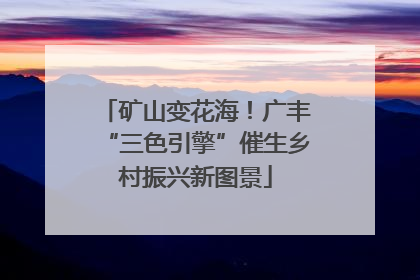 矿山变花海！广丰“三色引擎”催生乡村振兴新图景