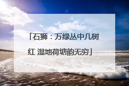 石狮：万绿丛中几树红 湿地荷塘韵无穷