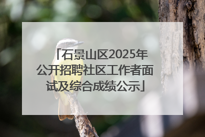石景山区2025年公开招聘社区工作者面试及综合成绩公示