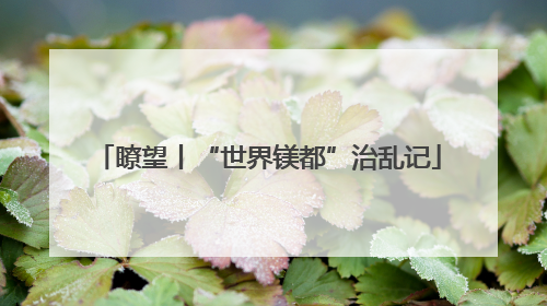 瞭望丨“世界镁都”治乱记