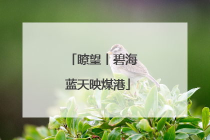 瞭望丨碧海蓝天映煤港