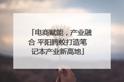 电商赋能，产业融合 平阳腾蛟打造笔记本产业新高地