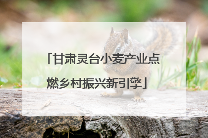 甘肃灵台小麦产业点燃乡村振兴新引擎