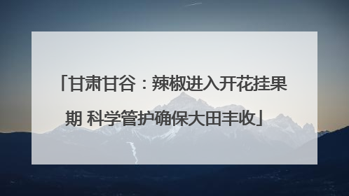 甘肃甘谷：辣椒进入开花挂果期 科学管护确保大田丰收