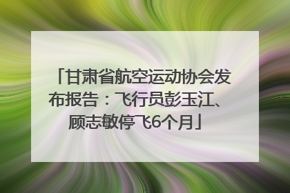 甘肃省航空运动协会发布报告：飞行员彭玉江、顾志敏停飞6个月