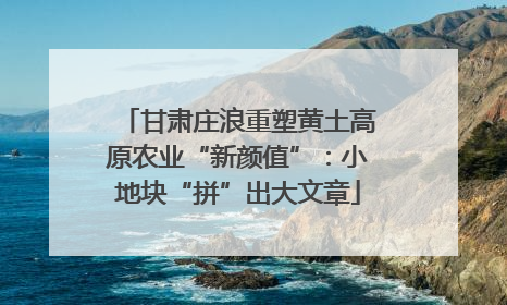 甘肃庄浪重塑黄土高原农业“新颜值”：小地块“拼”出大文章