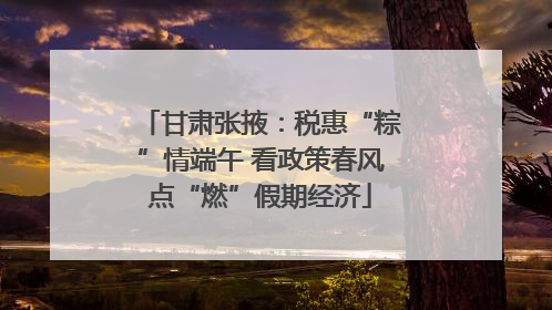 甘肃张掖：税惠“粽”情端午 看政策春风点“燃”假期经济