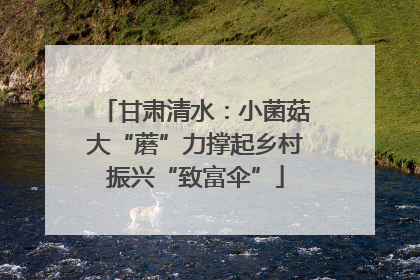 甘肃清水：小菌菇大“蘑”力撑起乡村振兴“致富伞”