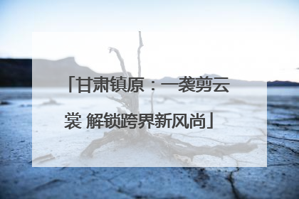 甘肃镇原：一袭剪云裳 解锁跨界新风尚