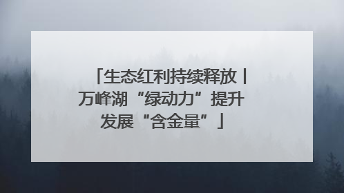 生态红利持续释放丨万峰湖“绿动力”提升发展“含金量”