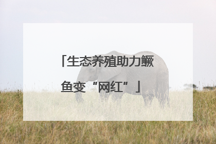 生态养殖助力鳜鱼变“网红”
