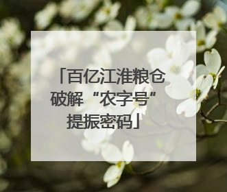 百亿江淮粮仓破解“农字号”提振密码