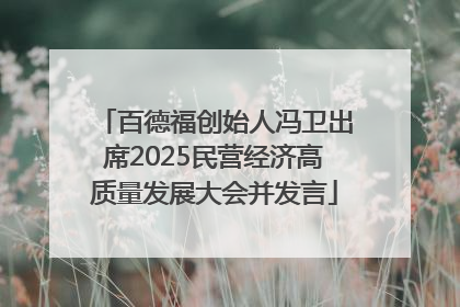 百德福创始人冯卫出席2025民营经济高质量发展大会并发言