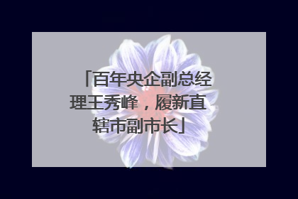 百年央企副总经理王秀峰，履新直辖市副市长