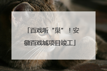 百戏听“巢”！安徽百戏城项目竣工