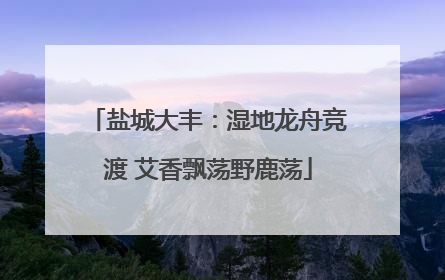 盐城大丰：湿地龙舟竞渡 艾香飘荡野鹿荡
