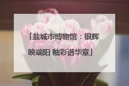 盐城市博物馆：银辉映端阳 釉彩谱华章