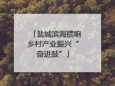 盐城滨海擂响乡村产业振兴“奋进鼓”