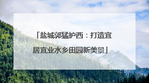 盐城郭猛护西：打造宜居宜业水乡田园新美景