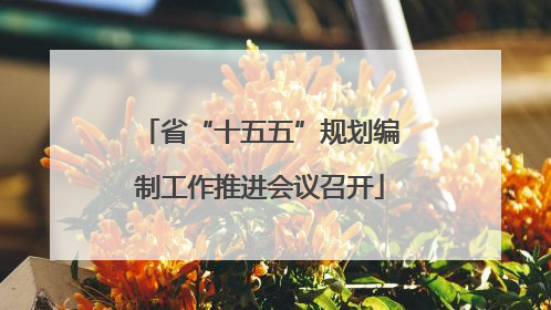 省“十五五”规划编制工作推进会议召开