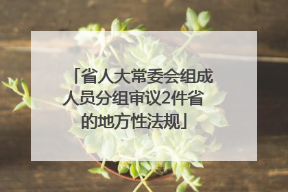 省人大常委会组成人员分组审议2件省的地方性法规