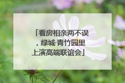 看房相亲两不误，绿城·青竹园里上演高端联谊会