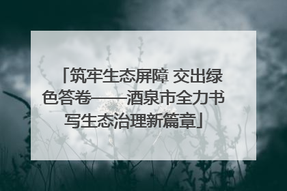 筑牢生态屏障 交出绿色答卷——酒泉市全力书写生态治理新篇章