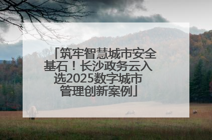筑牢智慧城市安全基石！长沙政务云入选2025数字城市管理创新案例