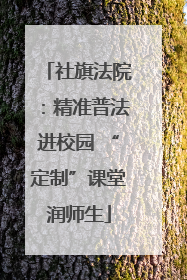 社旗法院：精准普法进校园 “定制”课堂润师生