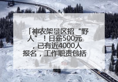 神农架景区招“野人”！日薪500元，已有近4000人报名，工作职责包括“接受游客投喂”