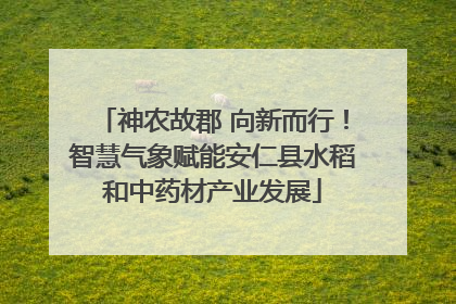 神农故郡 向新而行！智慧气象赋能安仁县水稻和中药材产业发展