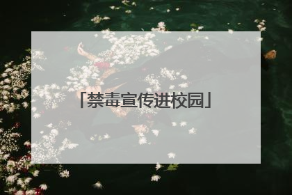 禁毒宣传进校园
