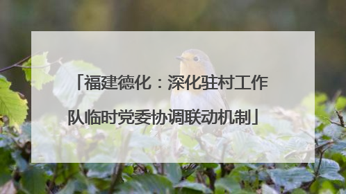 福建德化：深化驻村工作队临时党委协调联动机制