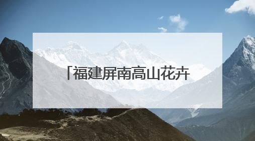 福建屏南高山花卉绽放“致富花”