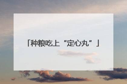 种粮吃上“定心丸”