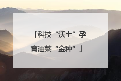 科技“沃土”孕育油菜“金种”