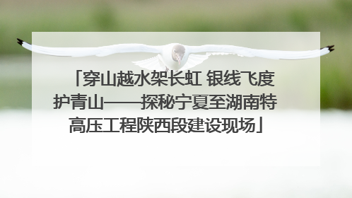 穿山越水架长虹 银线飞度护青山——探秘宁夏至湖南特高压工程陕西段建设现场