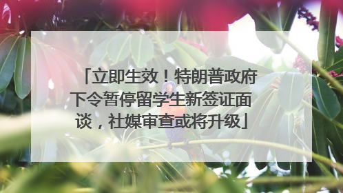 立即生效！特朗普政府下令暂停留学生新签证面谈，社媒审查或将升级