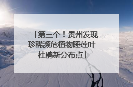第三个！贵州发现珍稀濒危植物睡莲叶杜鹃新分布点