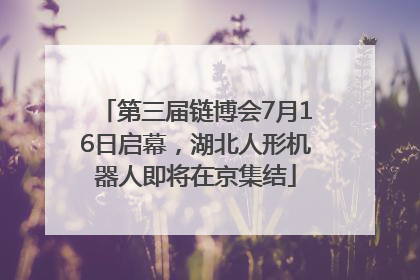 第三届链博会7月16日启幕，湖北人形机器人即将在京集结